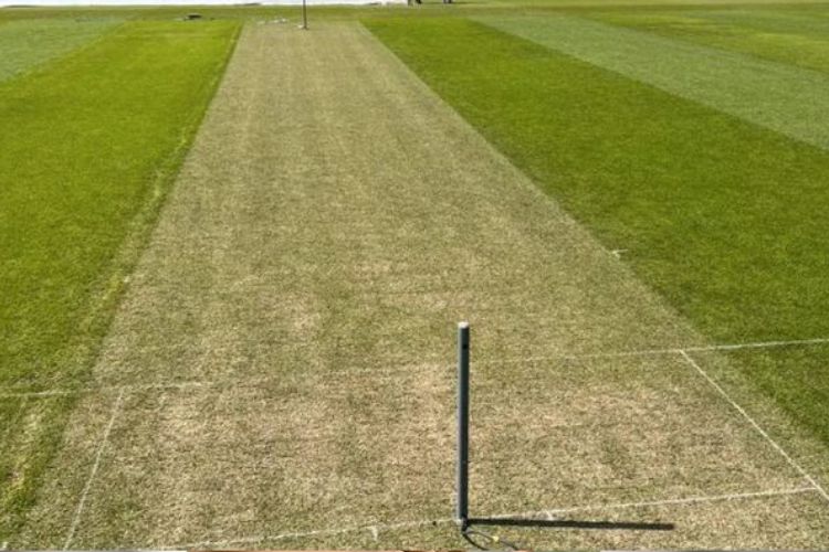 Ongoing oil protest forces ICC to have two pitches for World Test Championship Final