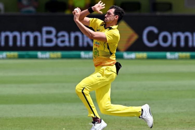 Mitchell Starc beats Glenn McGrath to become fastest to take 60 wickets in ODI World Cup history