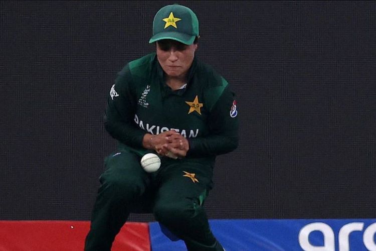 Pakistan drop eight catches! Help New Zealand to eliminate India